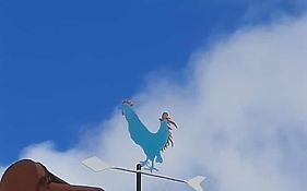 El Gallo Azul